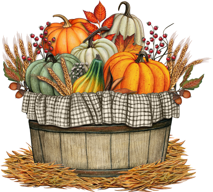 Watercolor harvest pumpkin basket decoration